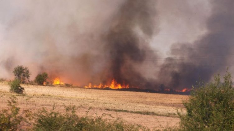 Снимка: Булфото