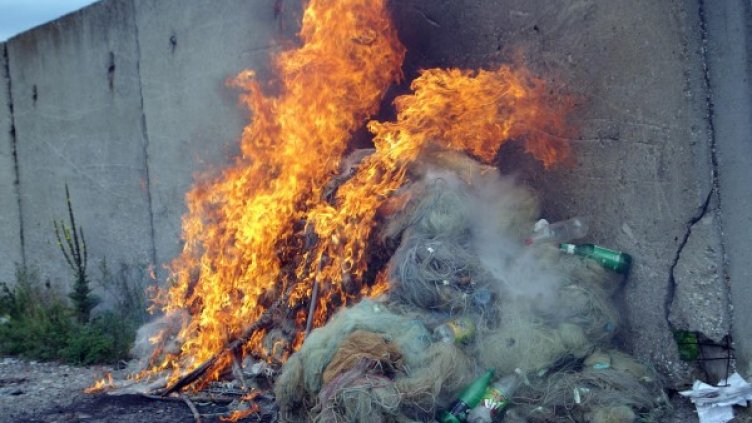 Снимка: Архив Булфото