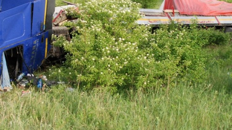 Снимка: Архив Булфото