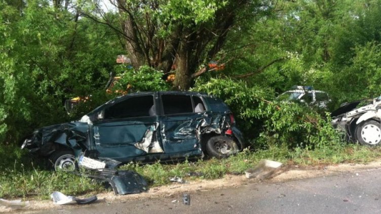 Снимка: Архив Булфото