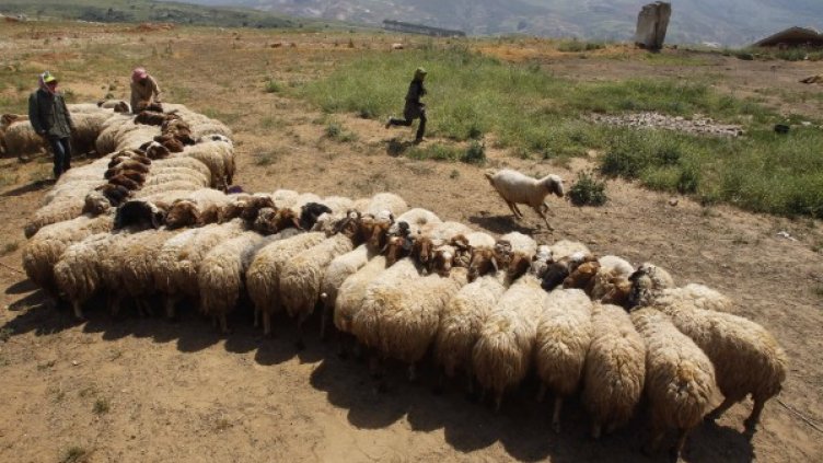 Снимка: Reuters