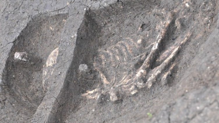 Снимка: Архив Булфото