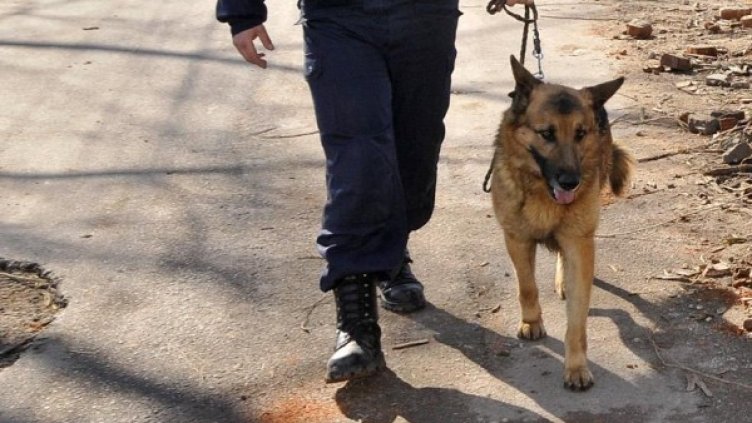 Снимка: Булфото, архив