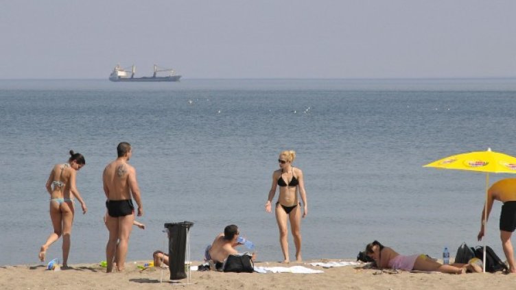 Гответе се от рано за сезона, но без глад, съветват експерти. Снимка: Булфото