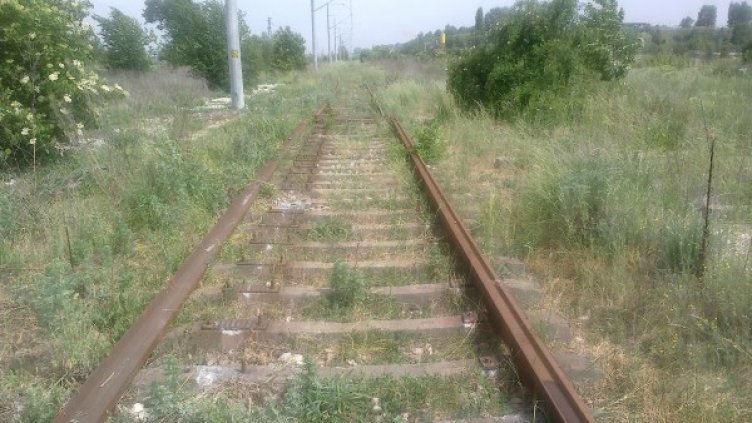 Снимка: НКЖИ