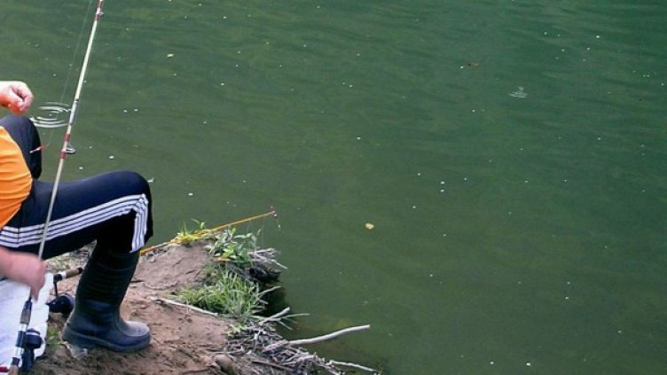 Снимка: архив, Булфото