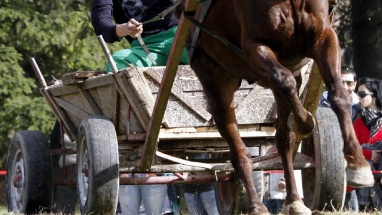 Снимка: Булфото, архив