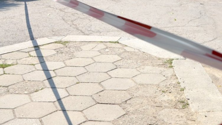 Снимка: Impact Press Group