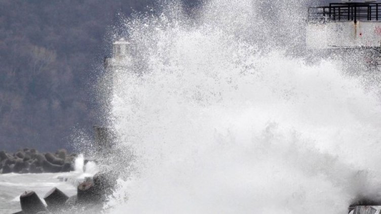 Снимка: архив, Булфото