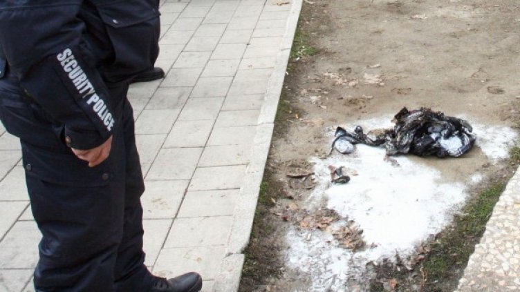 Снимка: архив, Булфото