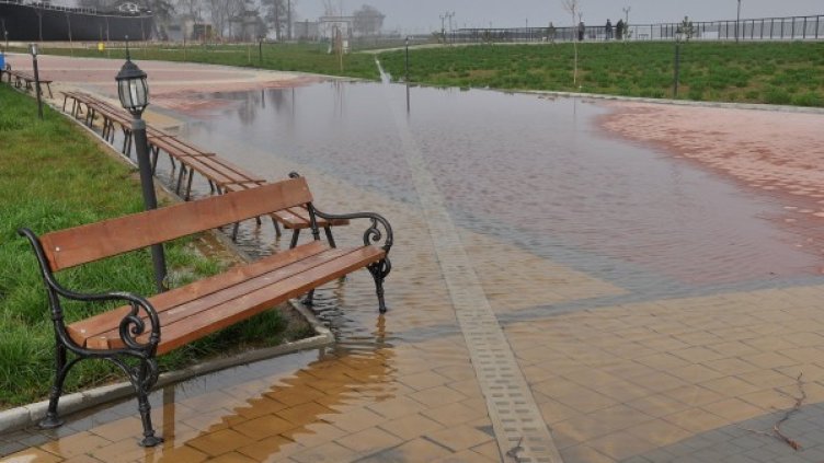 Засега няма опасност Дунав да залее пак Лом. Снимка: БТА