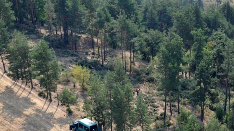 Снимка: Булфото, архив