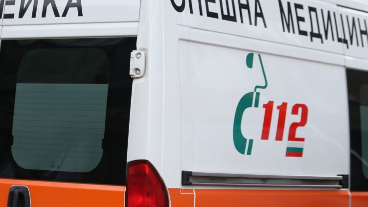 Снимка: архив, БГНЕС