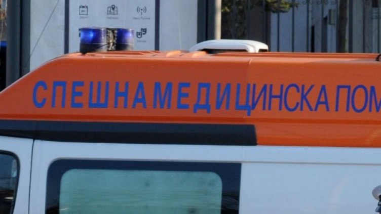 Снимка: Булфото, архив