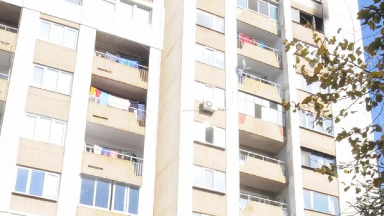 Снимка: Булфото, архив