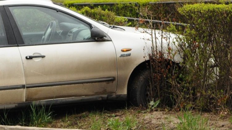 Снимка: БулФото-архив