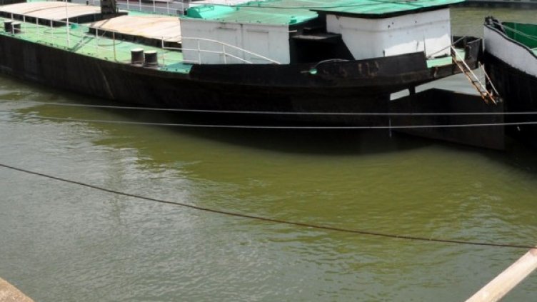 В края на седмицата се очаква покачване на нивото на Дунав. Снимка: БТА