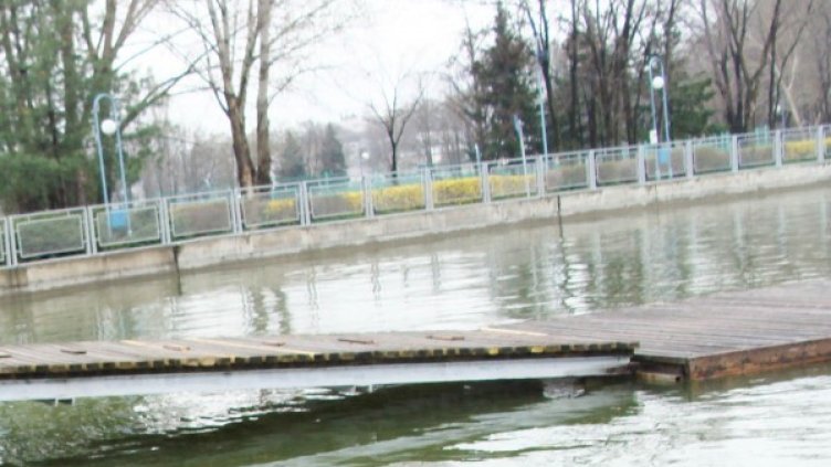 Снимка: Булфото, архив