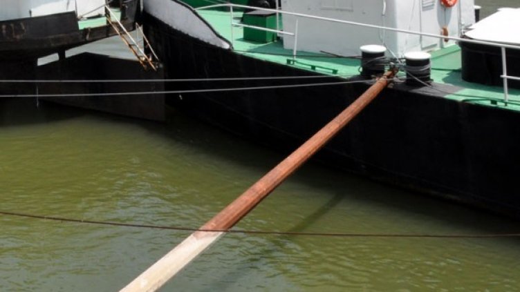 Снимка: архив, Булфото