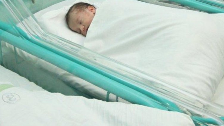 Снимка: архив, Булфото