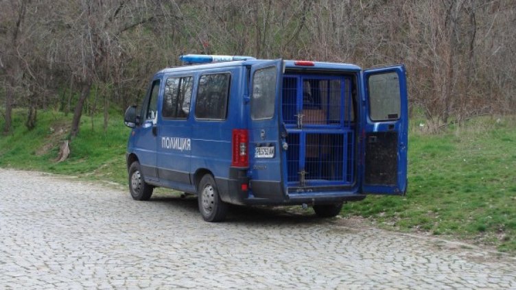 Снимка: Архив Булфото