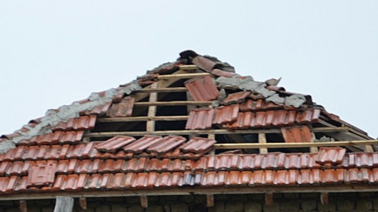 Снимка: Архив Булфото