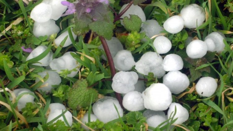 Снимка: БулФото-архив