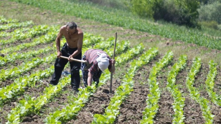 Безработицата в селата е висока. Снимка: Булфото