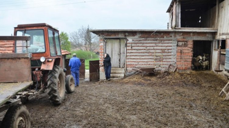 Снимка: Булфото, архив