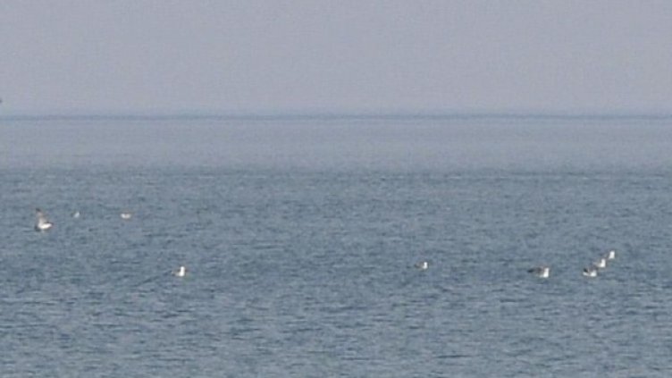 Снимка: Булфото, архив