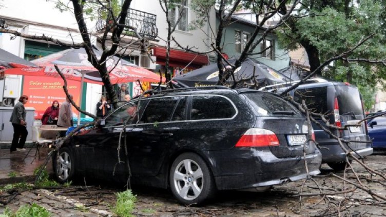 Сухо дърво се сгромоляса връз коли на "зелена зона"