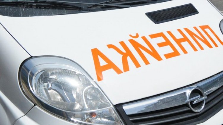 Снимка: Архив Булфото