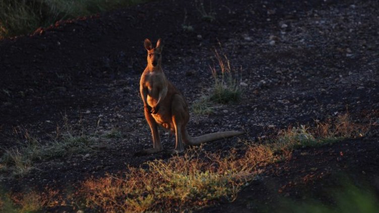 Снимка: архив Reuters