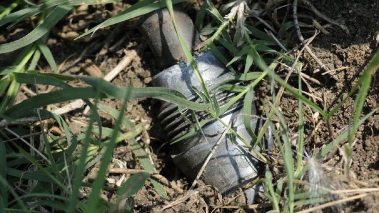 Снимка: архив, Булфото