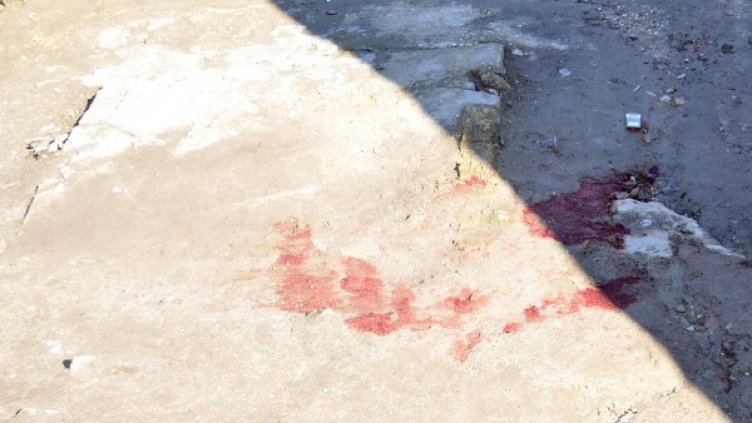 Снимка: Архив Булфото