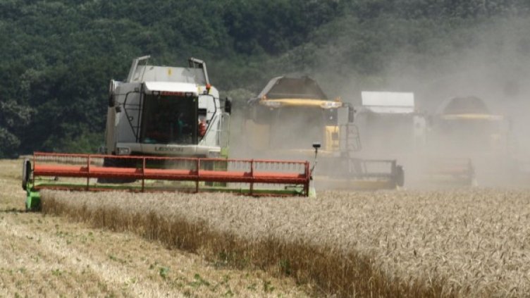 До 30 октомври трябва да приключи събирането на реколтата. Снимка: Булфото, архив
