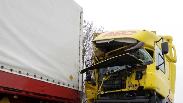 Снимка: архив, Булфото