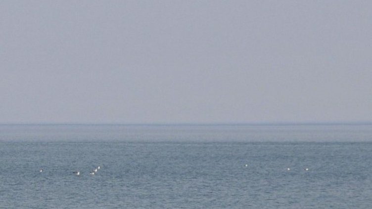 Снимка: Булфото, архив