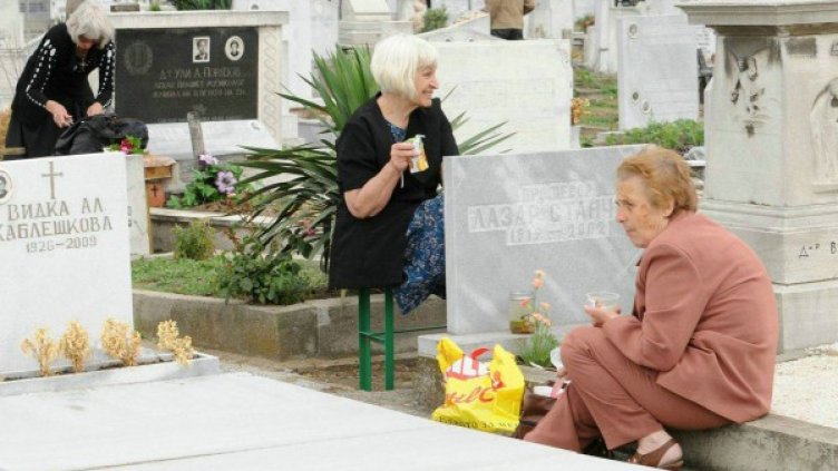 Снимка: Impact Press Group