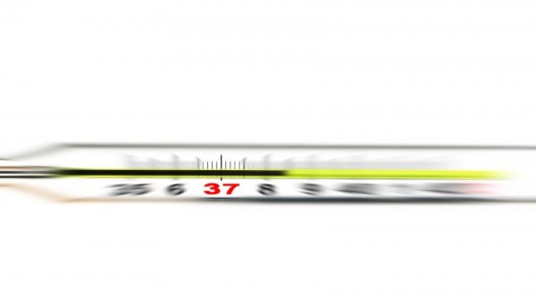 Снимка: Sxc.hu