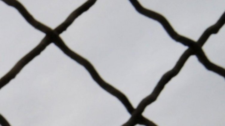 Снимка: архив, Булфото