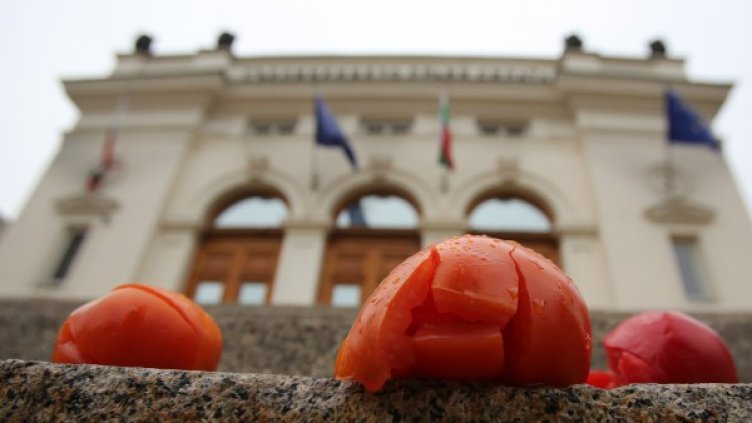 Снимка: Булфото