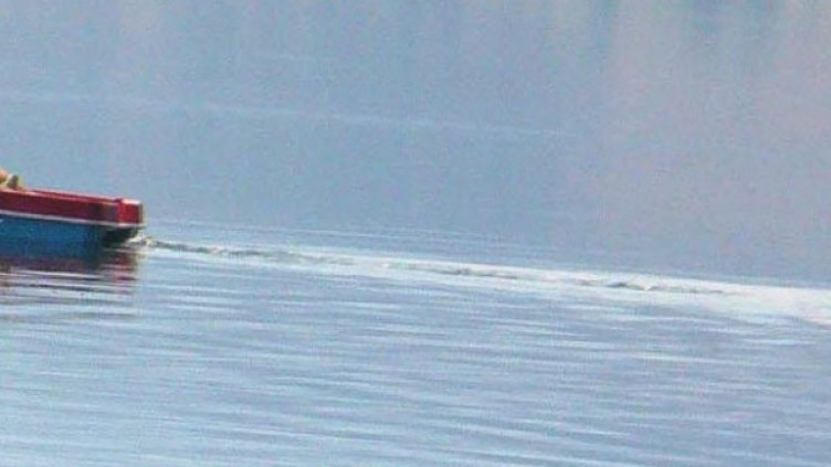 Снимка: архив, Булфото