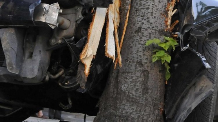 Снимка: архив, Булфото