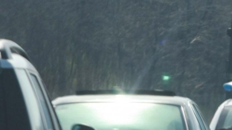 Снимка: Булфото