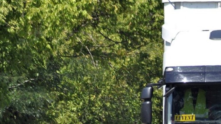 Снимка: архив, Булфото