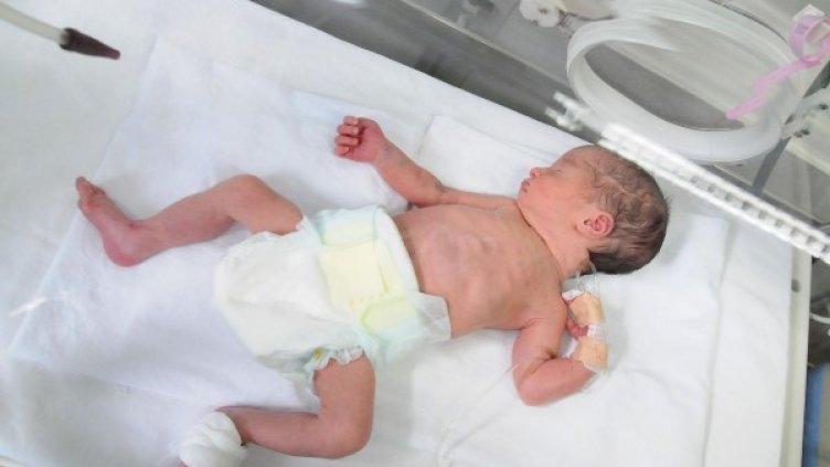 Снимка: Булфото, архив