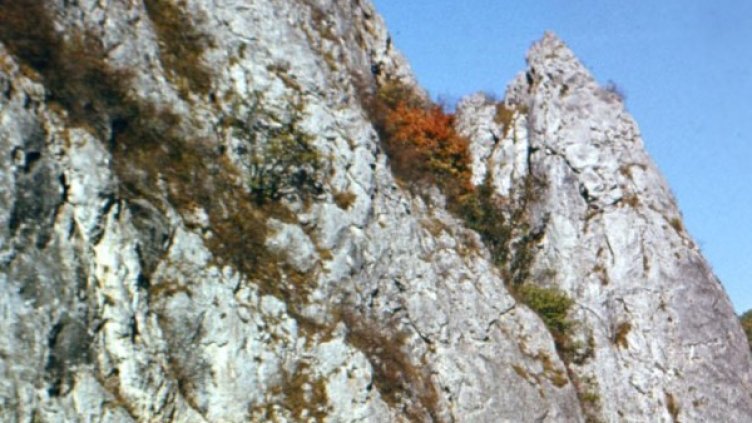 Снимка: архив, Булфото