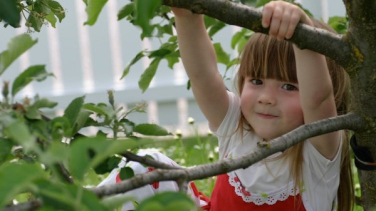 Снимка: Sxc.hu