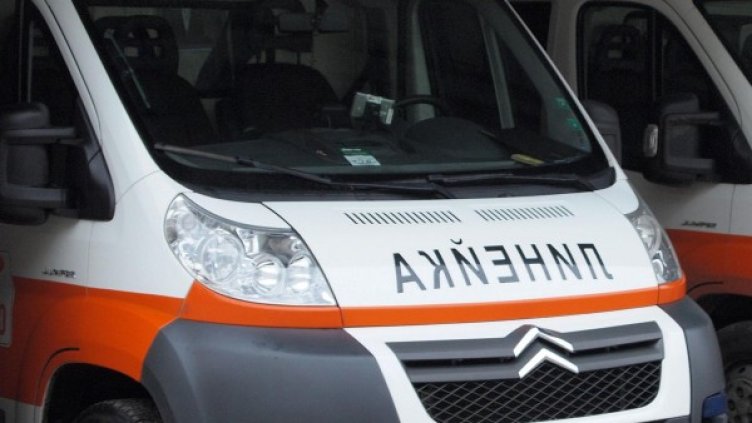 Снимка: архив, Булфото